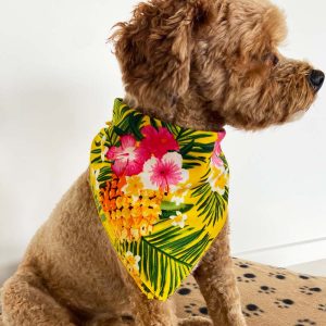 Aloha Yellow Bandana