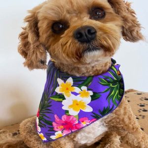 Aloha Purple Bandana